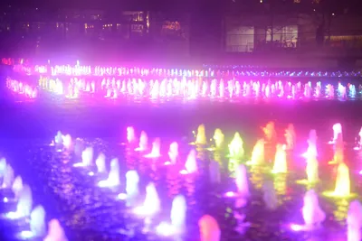 DSC_0717 (Large).JPG